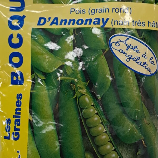 Pois d’Annonay en fleurs et gousses, plante potagère