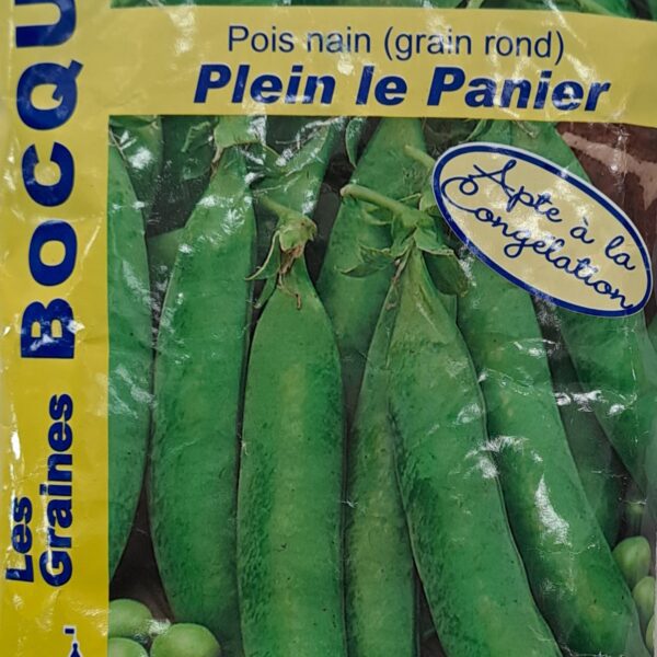 Pois nain “Plein le panier” en gousses vertes, plante potagère