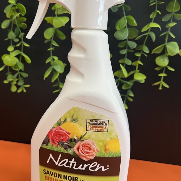 Savon noir liquide – produit naturel pour entretien et nettoyage écologique