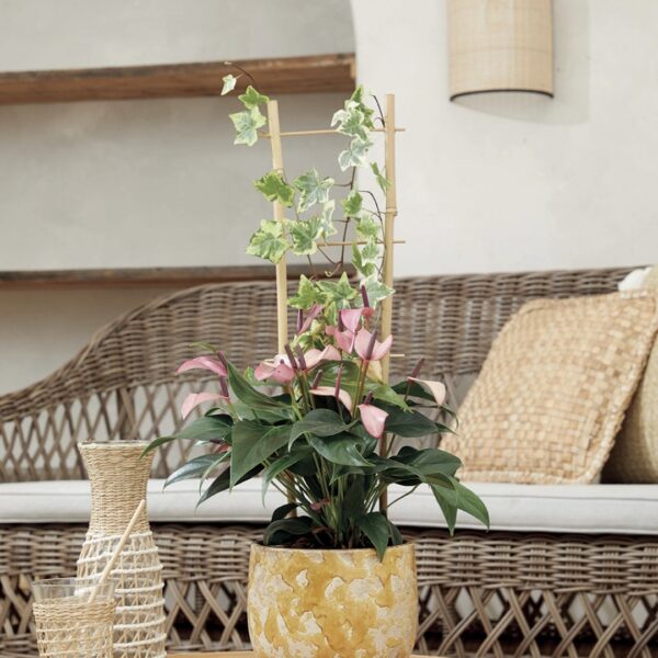 Tuteur échelle en bambou naturel de 90 cm pour plantes et potager