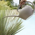 Arrosoir Emma taupe 2,5 L pour plantes avec long bec