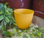 Cache‑pot Iris curcuma 1,4 L pour plantes