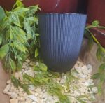 Cache‑pot Iris noir 1,3 L pour plantes