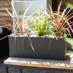 Balconnière gris anthracite 25 L pour plantes et fleurs