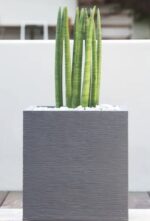 Pot carré Graphitup gris anthracite 31 L pour plantes