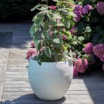 Pot Egg Graphitup blanc cérusé 46 L pour plantes