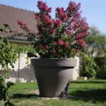 Pot Roméo rotomoulé 543 L pour grandes plantations