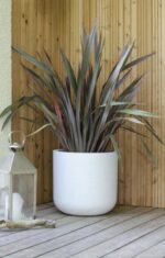 Pot rond Graphitup blanc cérusé 32,5 L pour plantes