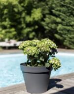 Pot Toscane anthracite 10 L pour plantes