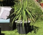 Pot Toscane anthracite 43 L pour plantes