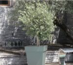 Pot de fleurs carré Toscane vert laurier 87 L en plastique