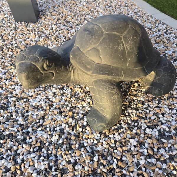 Tortue large L.60 cm