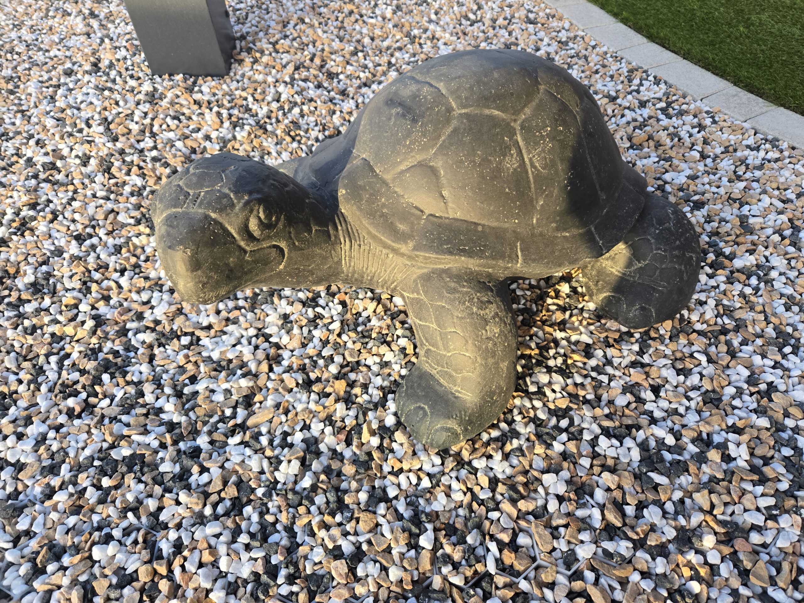 20260311_181931 Tortue large L.60 cm – Image 1