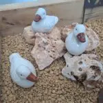 Canard décoratif en céramique au design élégant pour la décoration intérieure.