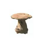 Champignons décoratifs en teck naturel pour embellir le jardin, la terrasse ou les espaces extérieurs.