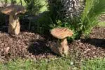 Champignons décoratifs en teck naturel pour embellir le jardin, la terrasse ou les espaces extérieurs.