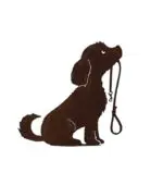 Statue chien Lucy avec laisse en métal sur socle hauteur 50 cm