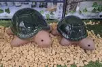 Tortue décorative en céramique verte Milo pour la décoration intérieure ou extérieure abritée.