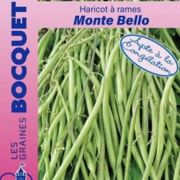 Sachet de graines de haricot à rames Monte Bello