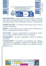 Sachet de graines de Lavatère à grande fleur varié