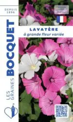Sachet de graines de Lavatère à grande fleur varié