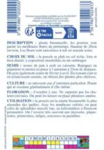 Sachet de graines de pensée géante de Suisse variée