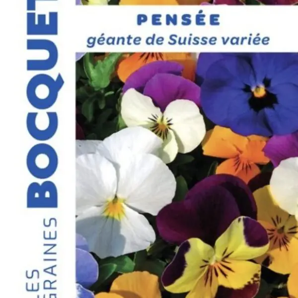 Sachet de graines de pensée géante de Suisse variée