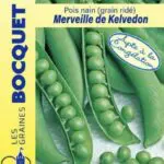 Sachet de graines de pois nain Merveille de Kelvedon