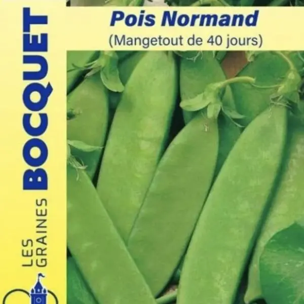 Sachet de graines de pois normand mange-tout