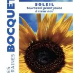 Sachet de graines de tournesol Soleil