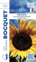 Sachet de graines de tournesol Soleil