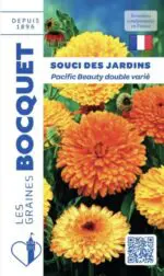 Sachet de graines de soucis des jardins Pacific varié
