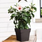 Pot Carré Toscane 25 Cm - 10,2 L – Image 3