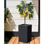 Pot Carré Haut Graphit'Up 29,5 Cm - 36 L – Image 3