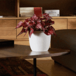 Cache-Pot D’Intérieur Rond Opale Ø 13,7 Cm – 1,4 L – Image 2