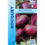 Betterave Noire D'Egypte (Plate)