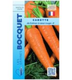 Carotte de Colmar à cœur rouge fraîchement récoltée du potager avec ses fanes.