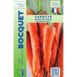 Carotte Géante De Tilques