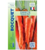 Une imposante carotte géante de Tilques, très longue, large et d'un orange foncé, montrant sa forme conique typique après l'arrachage.