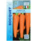 De grandes carottes longues de Saint-Valery bien droites, lisses et d'un orange vif, disposées après l'arrachage au jardin.