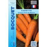 Carotte Longue Lisse De Meaux