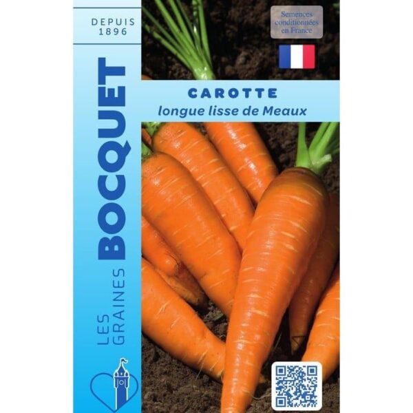 De longues carottes de Meaux bien lisses et rectilignes d'un orange intense, présentées juste après la récolte au potager.