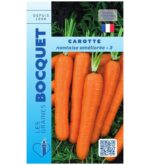 Nantaises améliorées bien cylindriques, lisses et d'un orange vif, avec leurs fanes vertes bien fraîches.