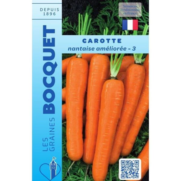 Nantaises améliorées bien cylindriques, lisses et d'un orange vif, avec leurs fanes vertes bien fraîches.