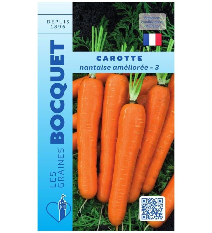 Carotte nantaise améliorée récolte potager Nantaises améliorées bien cylindriques, lisses et d'un orange vif, avec leurs fanes vertes bien fraîches.