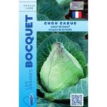 Chou Cabus Cœur De Bœuf Moyen De La Halle