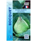 Un chou cabus Cœur de bœuf moyen de la Halle au potager, montrant sa forme conique pointue caractéristique et ses grandes feuilles enveloppantes.