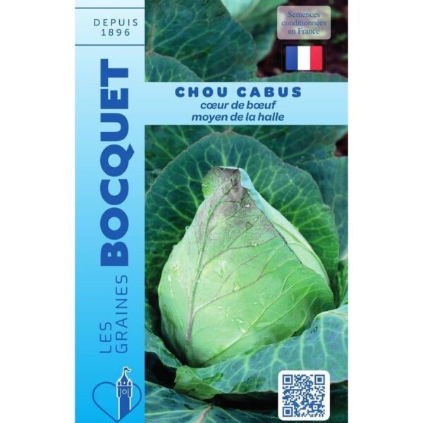 Un chou cabus Cœur de bœuf moyen de la Halle au potager, montrant sa forme conique pointue caractéristique et ses grandes feuilles enveloppantes.