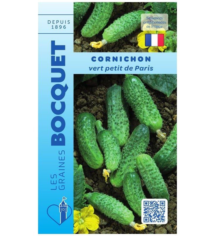 Cornichon vert petit de Parisn-vert-petit-de-paris cornichons Vert Petit de Paris fraîchement cueillis, petits, fermes et parsemés de fins piquants noirs caractéristiques.