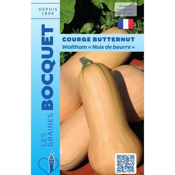 Une courge Butternut entière à la peau lisse de couleur beige-orangé, posée à côté d'une courge coupée en deux révélant sa chair orange vif et ses graines.